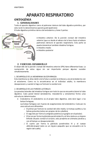 Respiratorio.pdf