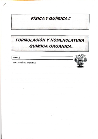 formulacion.pdf