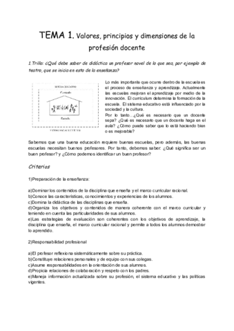 Planificacion-T.pdf