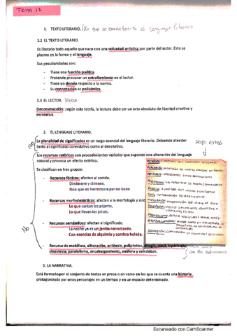 literatura-temas-12-y-13.pdf