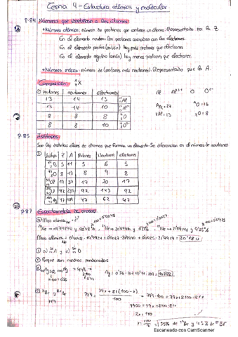 temas-4-y-5.pdf