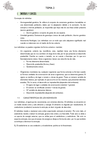 T2-ECO.pdf