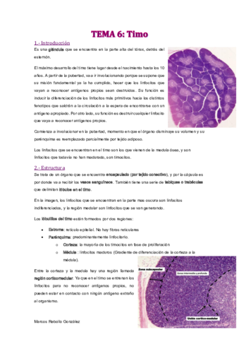 TEMA-6.pdf