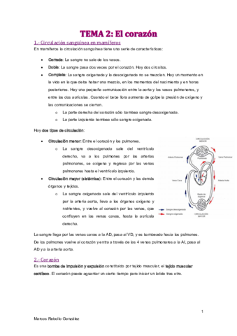 TEMA-2.pdf