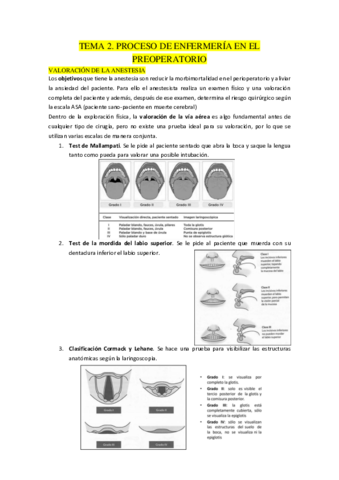 TEMA-2.pdf