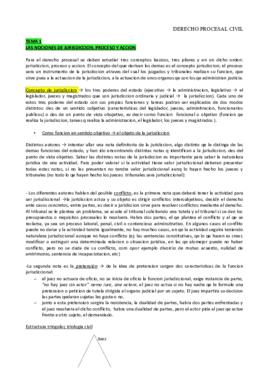 APUNTES PROCESAL.pdf