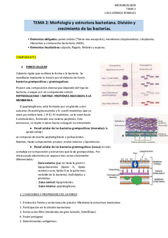 TEMA-2-micro.pdf