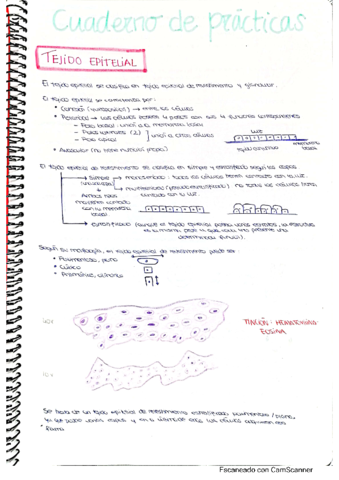 CUADERNO-PRACTICAS-HISTOLOGIA-I.pdf