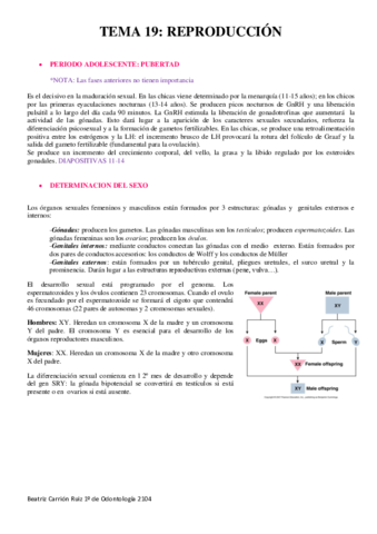 Miniatura del documento Tema 16.pdf