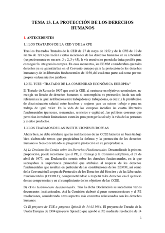 TEMA-13.pdf