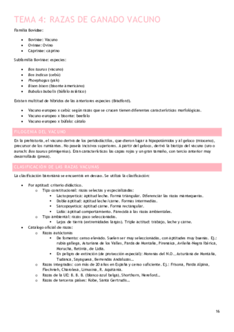 Tema-4.pdf