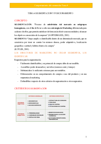 Tema-4-segmentacion-y-posicionamiento.pdf
