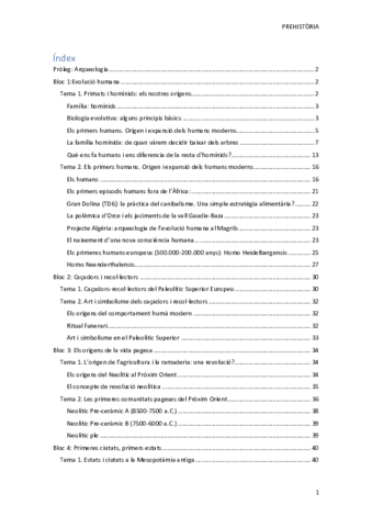 Prehistoria.pdf