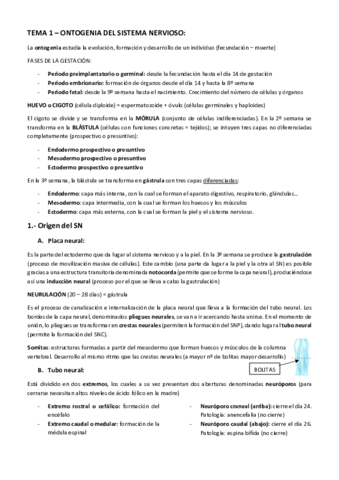 TEMA-1.pdf