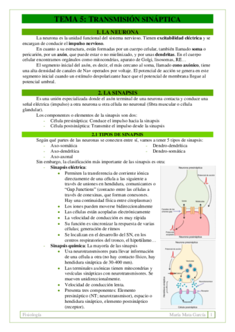 TEMA 5. Transmisión sináptica