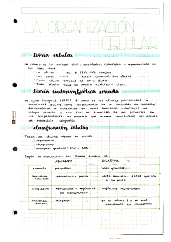 organizacion-celular.pdf