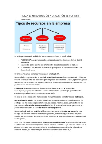 Apuntes-Direccion-de-RRHH.pdf