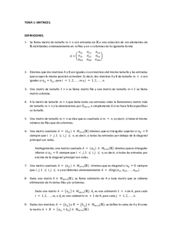 MATRICES.pdf