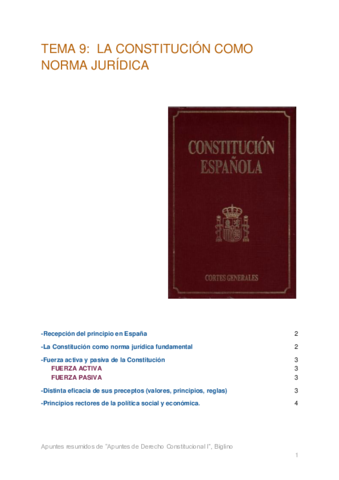 9-Derecho-Constitucional-I.pdf