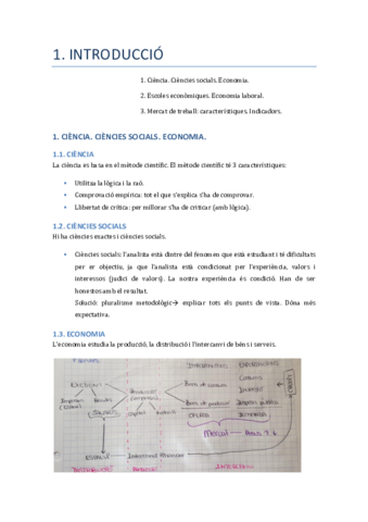 Apunts Novella.pdf