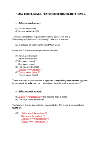 TEMA-1-REFLEXIVES-FEATURES-OF-NOUNS-REFERENCE.pdf