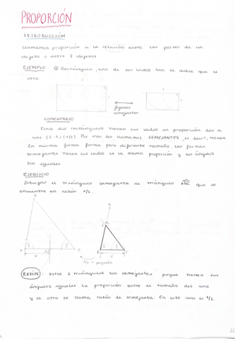 Proporcion.pdf