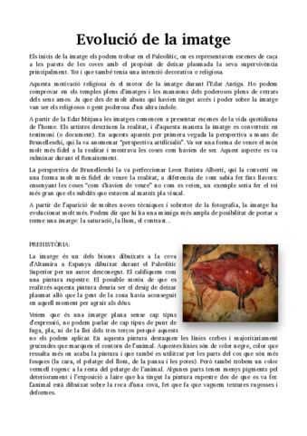 Evolucio-de-la-imatge-Irene-Suner-.pdf