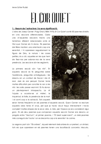 ACTIVITATS-COR-QUIET-.pdf