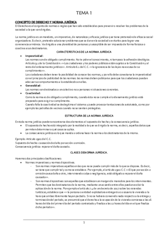 Tema-1-resumen-.pdf