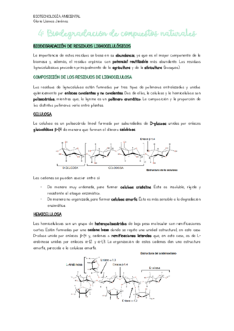 TEMA-4-BIODEGRADACION-DE-COMPUESTOS-NATURALES.pdf