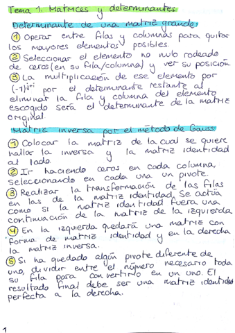 Apuntes-algebra-Tema-1.pdf