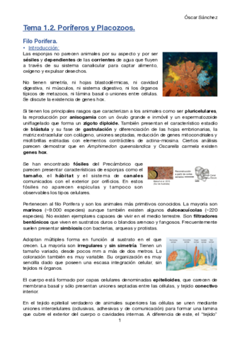 Tema 1.2. Zoología II.pdf