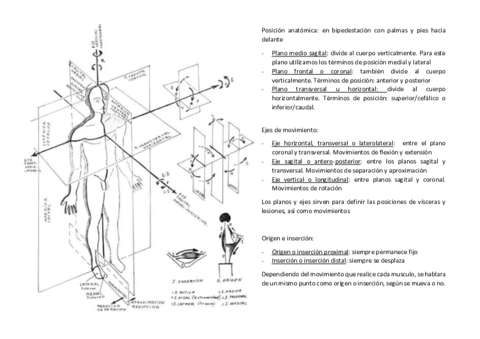 Practica-no-1-laminas.pdf