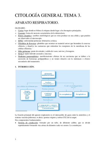 Tema 3 Citología General.pdf