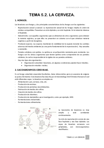 TEMA-5.pdf
