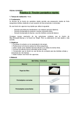 P2-Tincion-panoptico-rapido.pdf