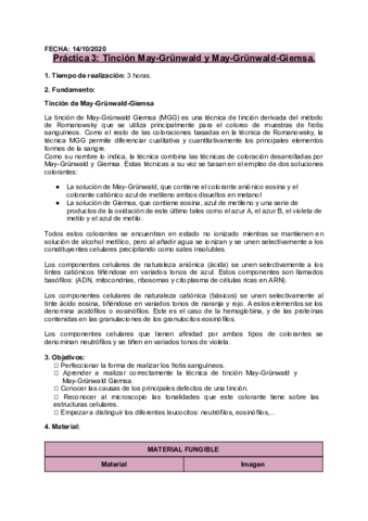 P3-Tincion-MG-y-MGG.pdf