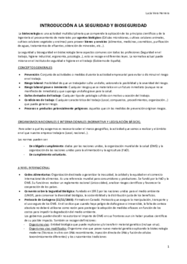 T2. SEGURIDAD.pdf