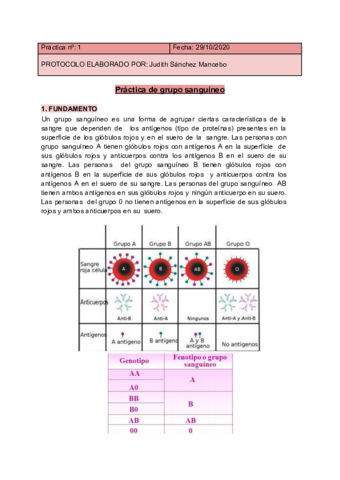 P1-Grupo-sanguineo.pdf