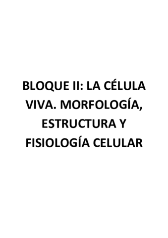 Bloque-II.pdf