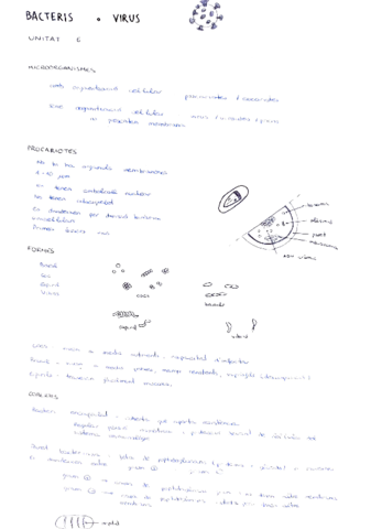 bacteris-i-virus.pdf
