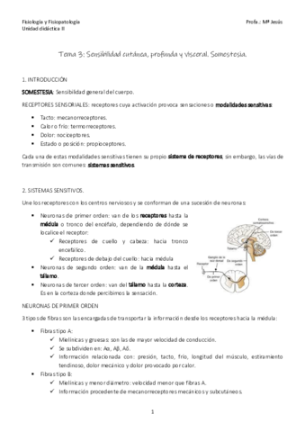 Tema-3.pdf