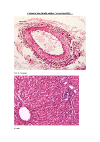 EXAMEN-IMAGENES-HISTOLOGIA-II-2020.pdf