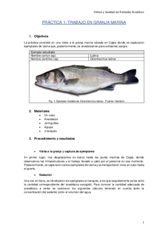 Practica-2-Acuaticos.pdf