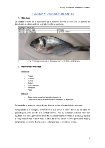 Practica-1-Acuaticos.pdf