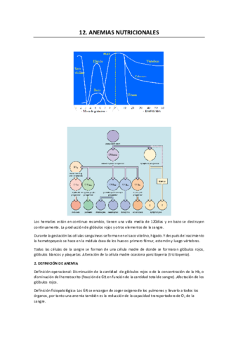 12. ANEMIAS NUTRICIONALES.pdf