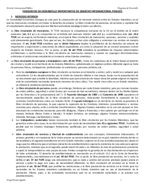 INTERNACIONAL PREGUNTAS DESARROLLO IMPORTANTES.pdf