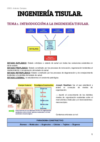 Tema-1-Ingenieria-Tisular.pdf