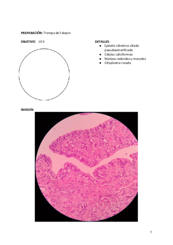 Cuaderno-de-practica-completo-1.pdf