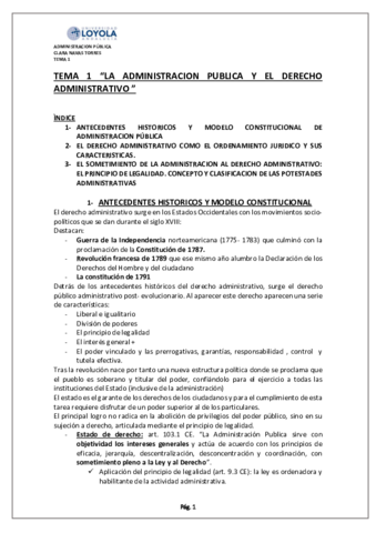 TEMA-1-COMPLETOS.pdf